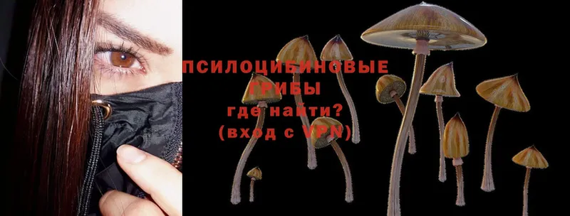 Псилоцибиновые грибы Magic Shrooms  kraken вход  Прохладный  купить наркотики сайты 